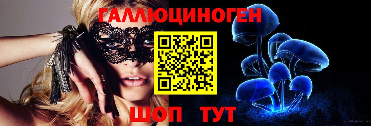 Галлюциногенные грибы Cubensis Канаш